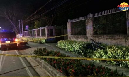 2 ka separado nga insidente sang ginapatihan pag-kidnap natabo sa Pavia