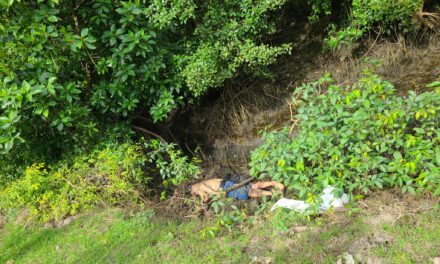 Bangkay sang lalaki nasapwan sa Sooc, Arevalo