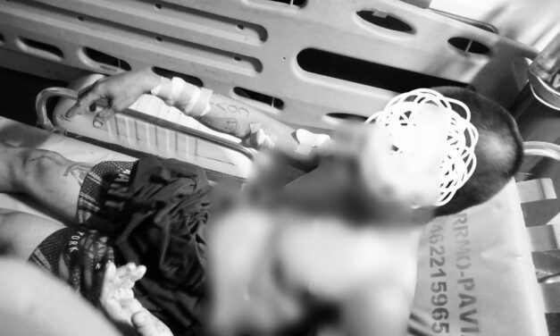 Pintor nabun-an sang caretaker sang balay nga gina-obrahan sa Pavia