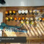 Grenade launcher, bala gin-turnover sa Sara Municipal Police Station