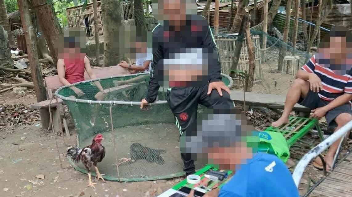 4 dakop nga nagapa-uwak sa Ingore, La Paz