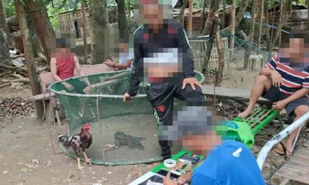 4 dakop nga nagapa-uwak sa Ingore, La Paz