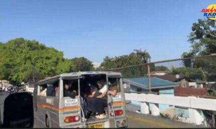 16, 347 units sang PUV sa rehiyon 6, benepisyaryo sang fuel subsidy — LTFRB 6