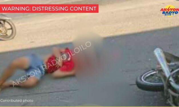 Driver sang motorsiklo wasak ang ulo sang nalasakan sang truck nga nakargahan baboy sa Brgy. Tacas, Jaro