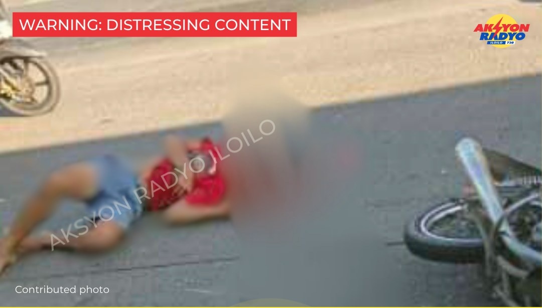 Driver sang motorsiklo wasak ang ulo sang nalasakan sang truck nga nakargahan baboy sa Brgy. Tacas, Jaro