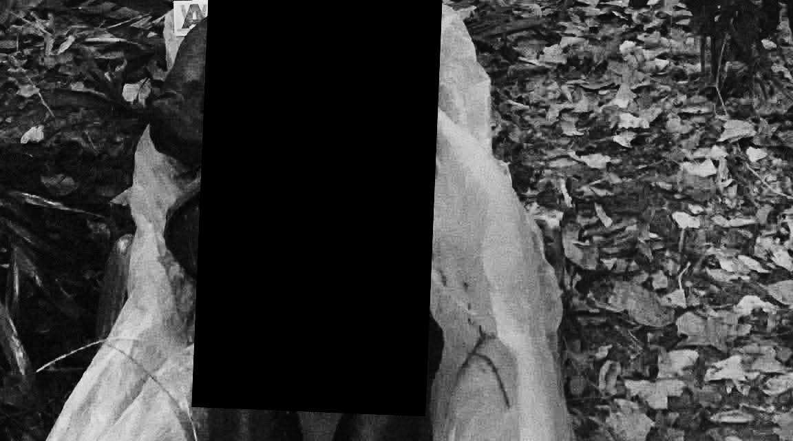 Bangkay nasapwan sa Ungka, Jaro