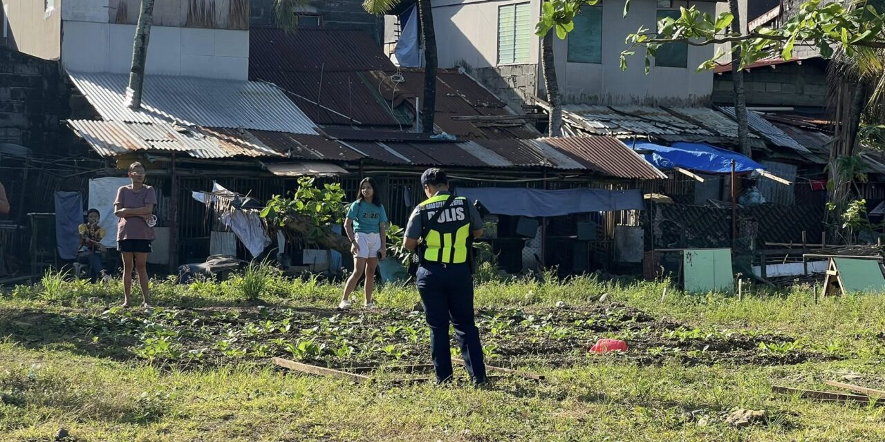 Tigulang gintiro samtang nagapamunyag sa Baldoza, La Paz