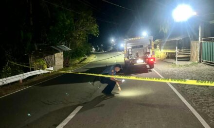 Construction worker pilason sang natiruhan sang kaupod niya inom sa Miagao