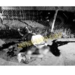 Job hire sang LGU patay sang nabun-an sa Passi City; suspek wala pa makilal-an