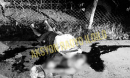 Job hire sang LGU patay sang nabun-an sa Passi City; suspek wala pa makilal-an