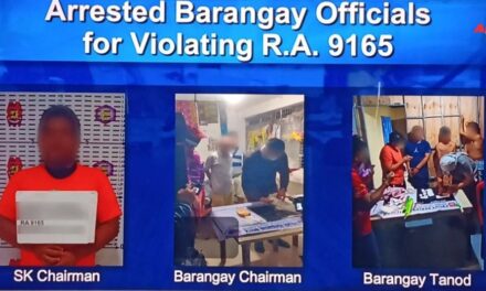 Sitwasyon sang illegal nga druga sa Iloilo maka-alarma — PRO 6