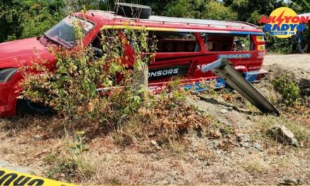 15 hikers, pilason sang na-aksidente ang ginasakyan nga jeep sa Miagao