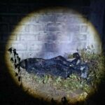 Sunog nga bangkay sang lalaki nasapwan sa bakante nga lote sa Ungka 1, Pavia, Iloilo