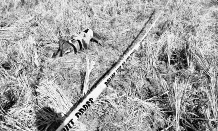 Bangkay sang e-bike driver nga may pilas sang pagkabuno nakit-an sa tunga sang talamnan sa Dumangas