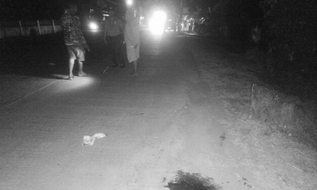 1 patay, 1 pilason sang nakabunggo ang motorsiklo sa isa pa ka motorsiklo sa Lambunao