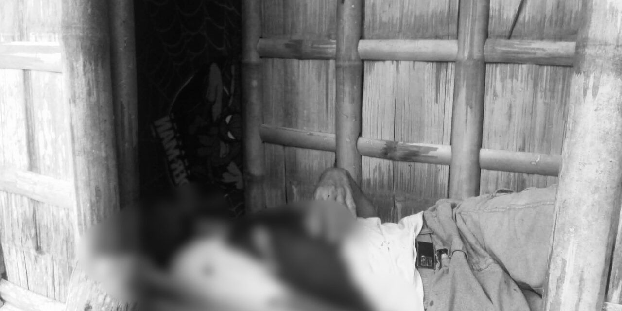 Tungod sa kaakig, manghod patay sang ginbuno sang iya magulang samtang nagakatulog sa Lambunao