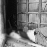 Tungod sa kaakig, manghod patay sang ginbuno sang iya magulang samtang nagakatulog sa Lambunao