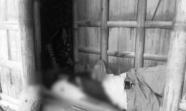 Tungod sa kaakig, manghod patay sang ginbuno sang iya magulang samtang nagakatulog sa Lambunao