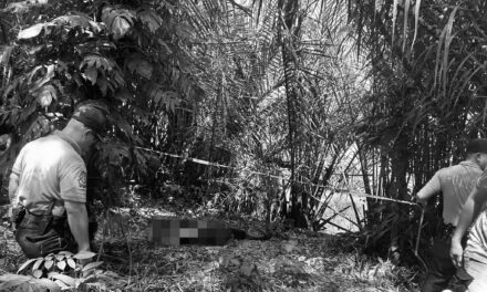 Construction worker sa Leganes patay sang nakuryente samtang nagapanghimos sang gamit sa pagpangisda