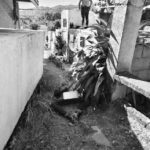 Mangunguma patay na sang nakit-an sa Lemery Catholic Cemetery