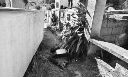 Mangunguma patay na sang nakit-an sa Lemery Catholic Cemetery