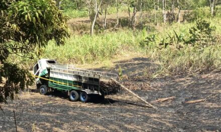 1 ka hektariya sang katubuhan sa Passi City nasunog; kalayo naglatay halin sa truck nga nagkalayo