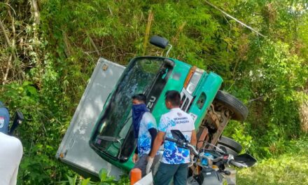 Delivery van nga may karga nga feeds, nahulog sa kanal sa Tubungan; driver kag pahinante wala napilasan