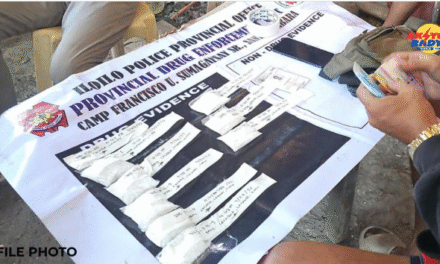 Presyo sang Illegal nga druga sa Iloilo Province nagmahal — PDEU