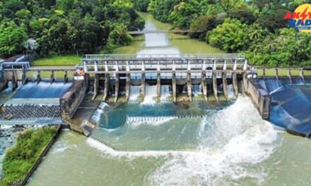 Sangguniang Bayan sang Dingle nagpasar sang ordinansa nga naga-regulate sa pagpaligo sang mga menor-de-edad sa Jalaur Dam
