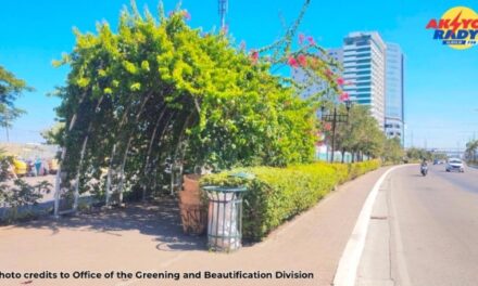 Heat-related cases sa Iloilo City nagtimbuok subong nga Mayo