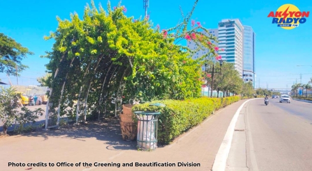 Heat-related cases sa Iloilo City nagtimbuok subong nga Mayo