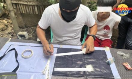 P150 nga commission kada transaksyon sa illegal drugs rason sang incoming 1st year college student sa pagbaligya