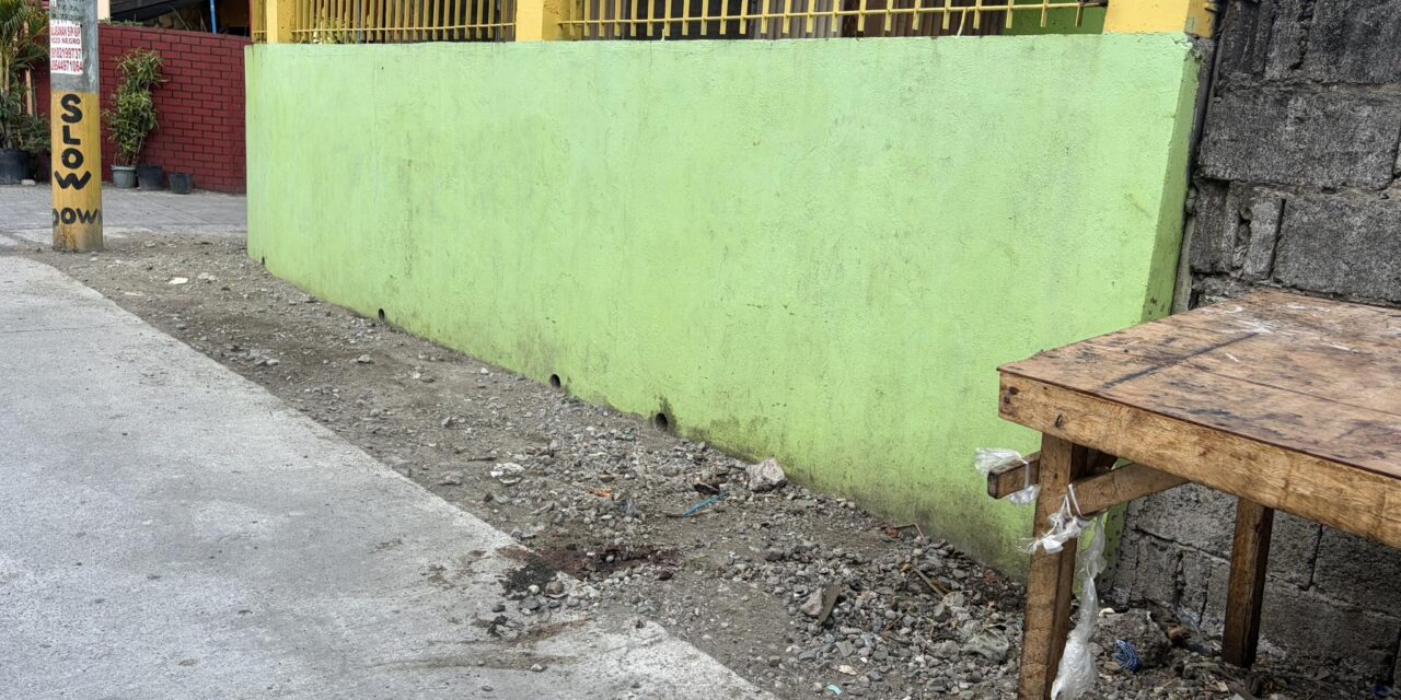 Delivery boy patay sang ginbuno sang kagawad sa Sta Filomena, Arevalo
