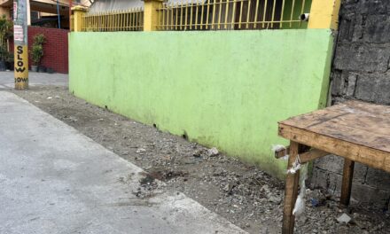 Delivery boy patay sang ginbuno sang kagawad sa Sta Filomena, Arevalo