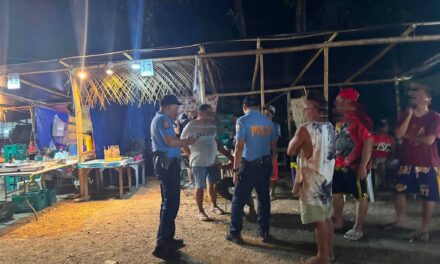 Tourist guide nga naglagaw sa foodfest sang Tangyan Festival sa Igbaras ginbuno