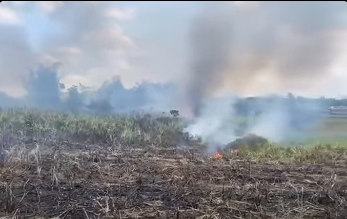 3 ka hektarya sang katubuhan sa Lemery nasunog