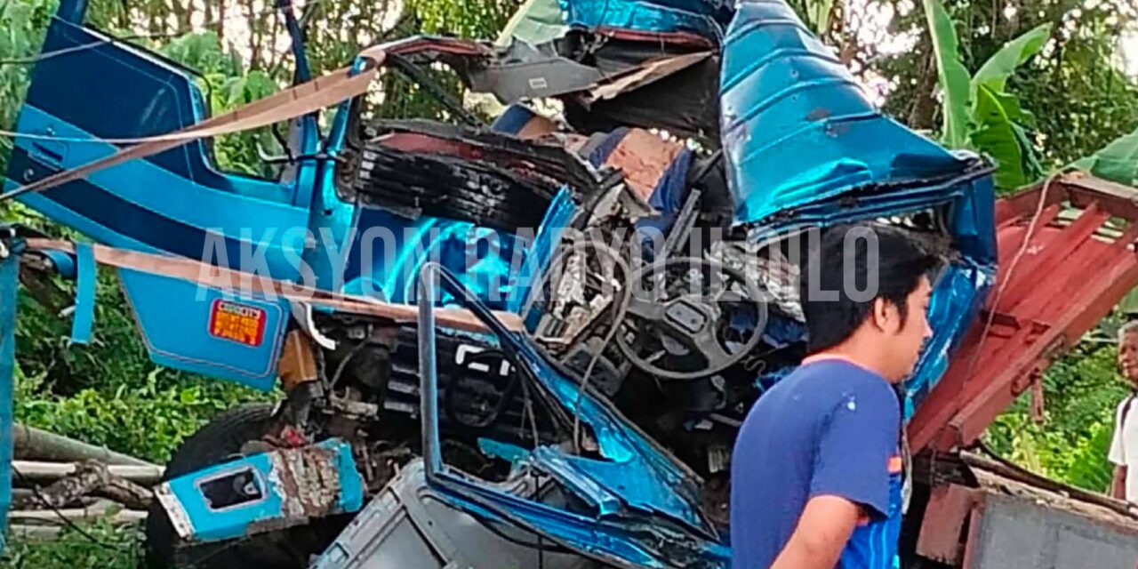 3 patay, 2 pilason sang nakabunggo sa Acacia kag may na-side swipe ang truck sa Maasin