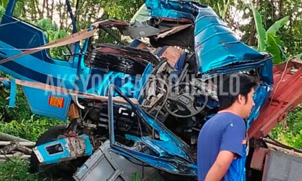 3 patay, 2 pilason sang nakabunggo sa Acacia kag may na-side swipe ang truck sa Maasin
