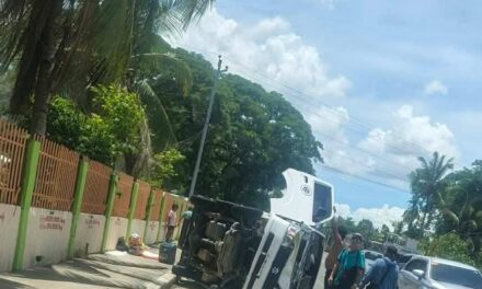 7 sa 16 ka pasahero napilasan sang nahulog sa gutter kag nagtakilid ang ginasakyan nga L300 van sa Zarraga
