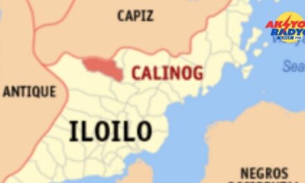 Tanod patay sang gintiro sang makapila ka beses sa Calinog