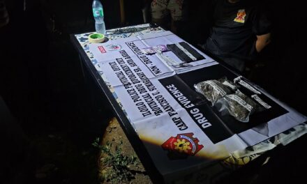 Suspected high grade dried Marijuana, suspected shabu nakumpiskar sa Brgy Apologista, Sara