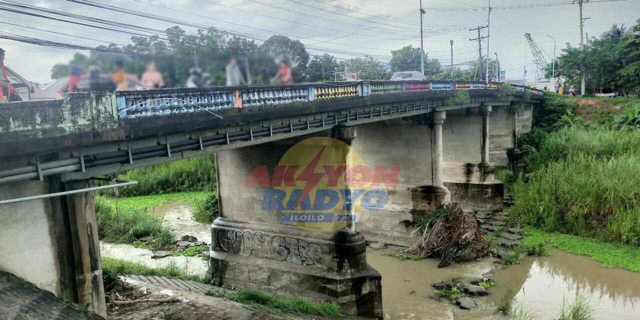 Estudyante nga naglumpat sa taytay sa Pavia may problema sa pag-eskwela