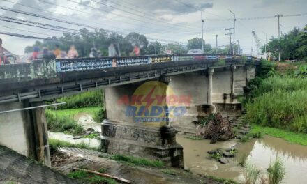 Estudyante nga naglumpat sa taytay sa Pavia may problema sa pag-eskwela