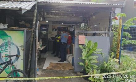 Nagakatulog nga biktima gintiro sang iya upod sa trabaho sa Pavia
