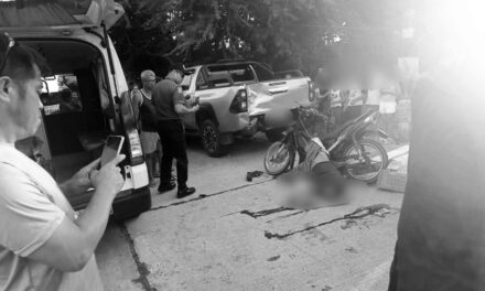 Amay patay, bata pilason sang nakabunggo ang ginasakyan nga motorsiklo sa naka-park nga pickup sa San Dionisio