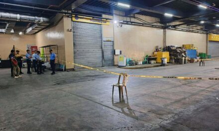 Mag-utod nga nagtuyo mang-agaw sang pusil sa on-duty guard sa GT Town Center sa Pavia natiruhan, 1 pilason