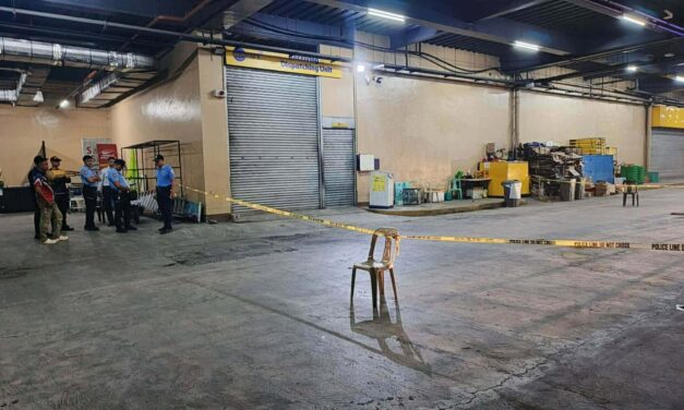Mag-utod nga nagtuyo mang-agaw sang pusil sa on-duty guard sa GT Town Center sa Pavia natiruhan, 1 pilason