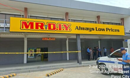 Mr. DIY sa Passi City ginransak