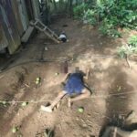 Mag-asawa nasapwan patay sa guwa sang ila balay sa Passi City