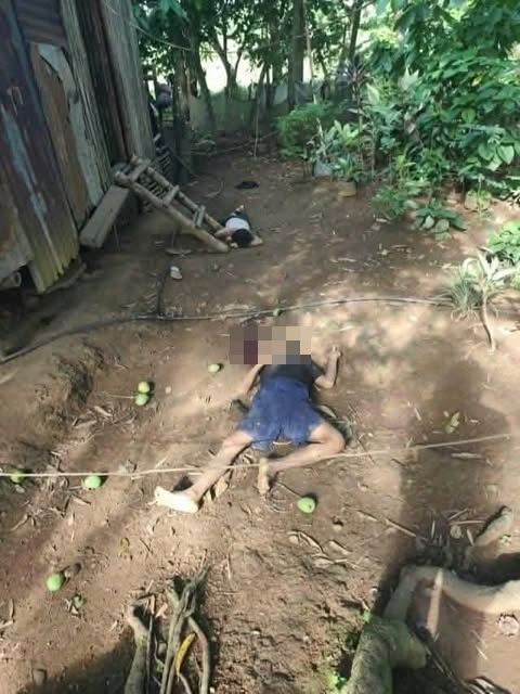Mag-asawa nasapwan patay sa guwa sang ila balay sa Passi City